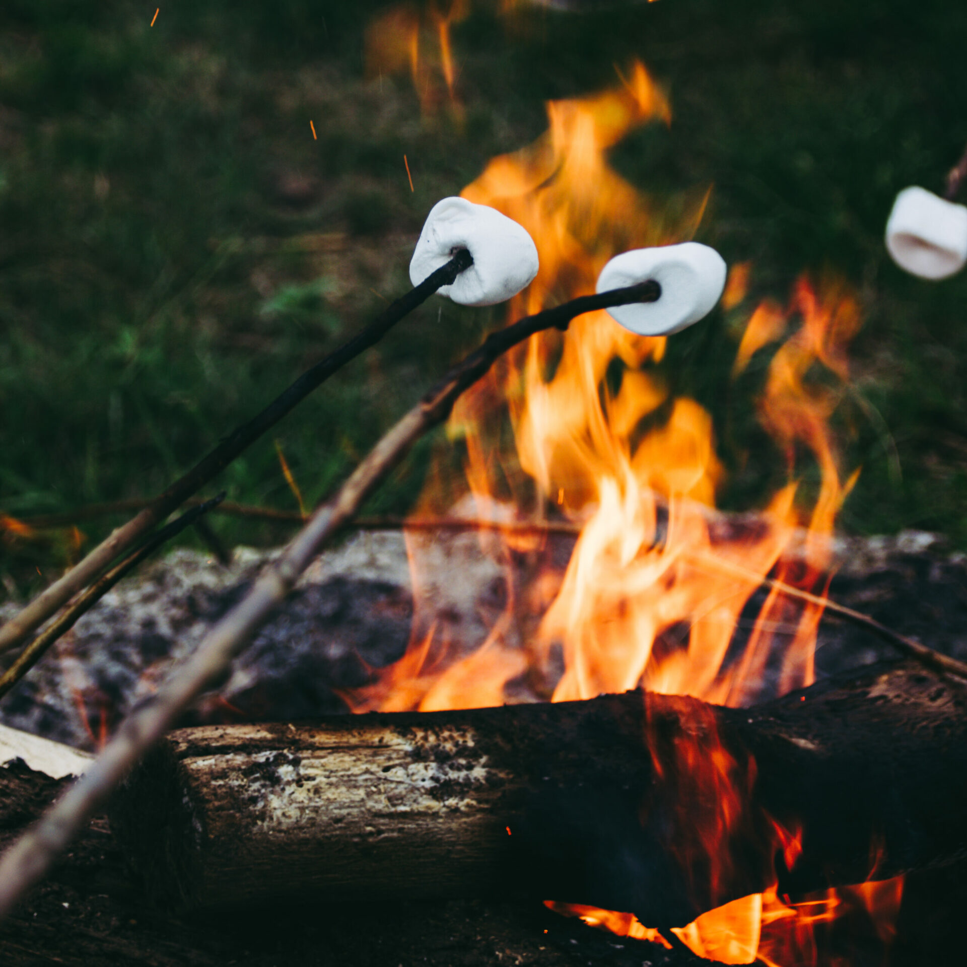 glamping de bosweide